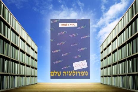 ספר קורס נומרולוגיה שלם